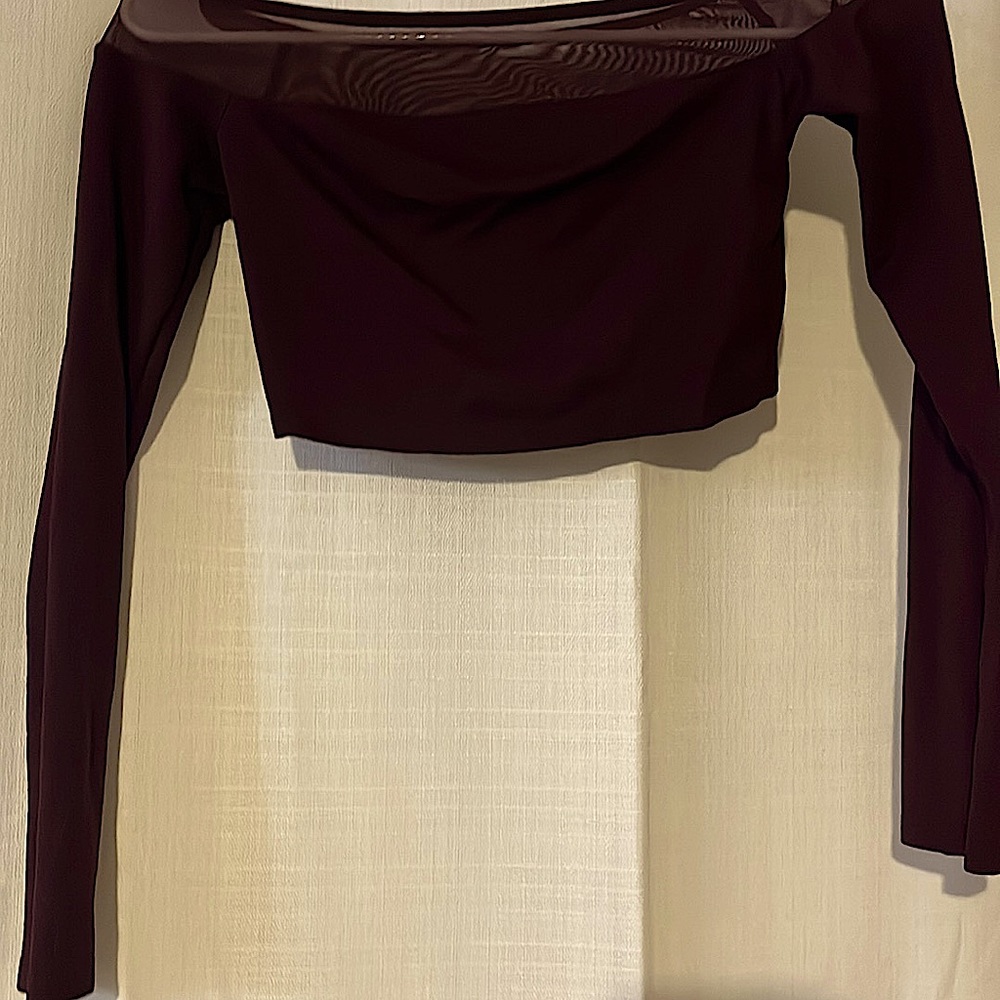 Forever 21, A burgundy, wine colored slim long sleeve small crop top